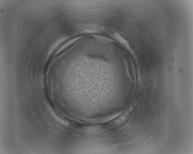 X0000076320106200610161654