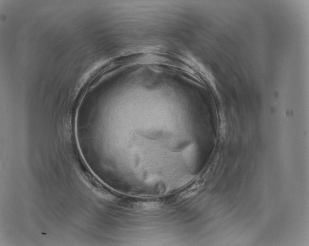 X0000076320107200610161654