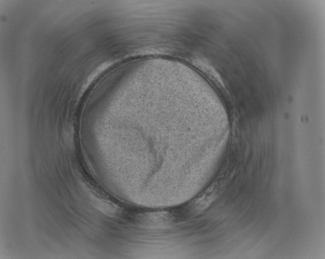 X0000076320108200610161654