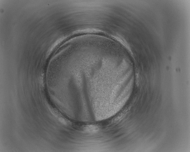 X0000076320111200610161653