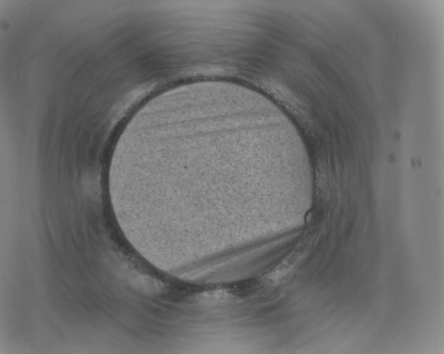 X0000076320112200610161653