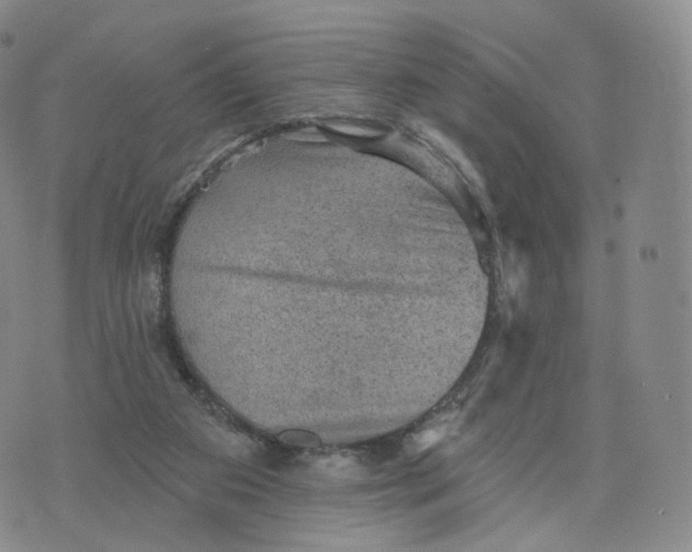 X0000076320113200610161653