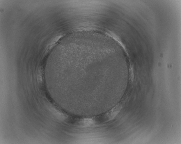 X0000076320114200610161653