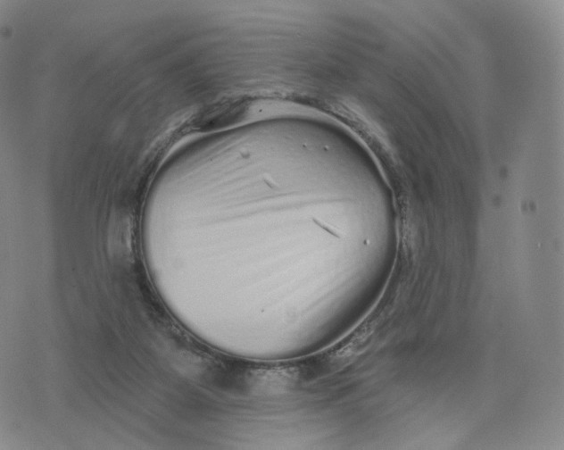 X0000076320115200610161653