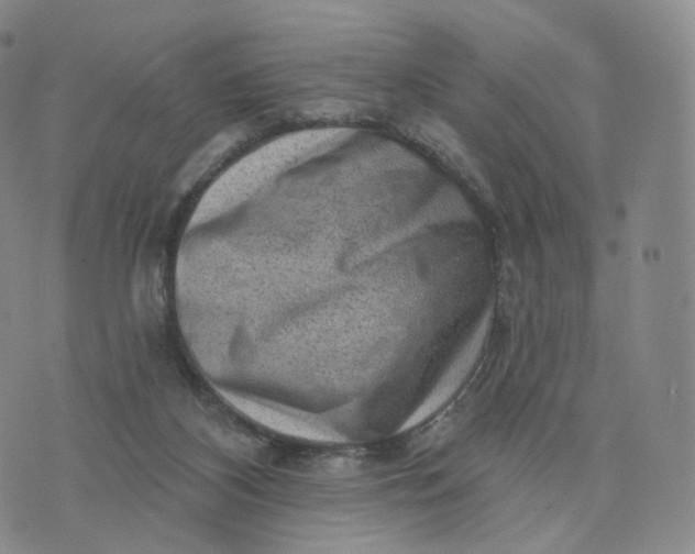 X0000076320116200610161653