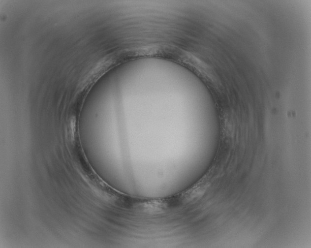 X0000076320118200610161653