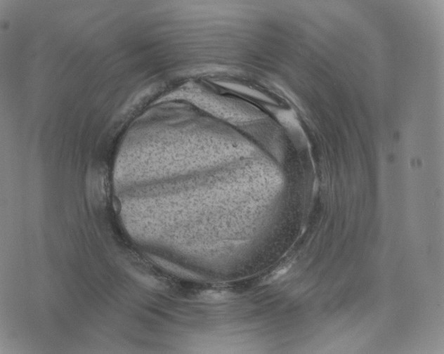 X0000076320119200610161653