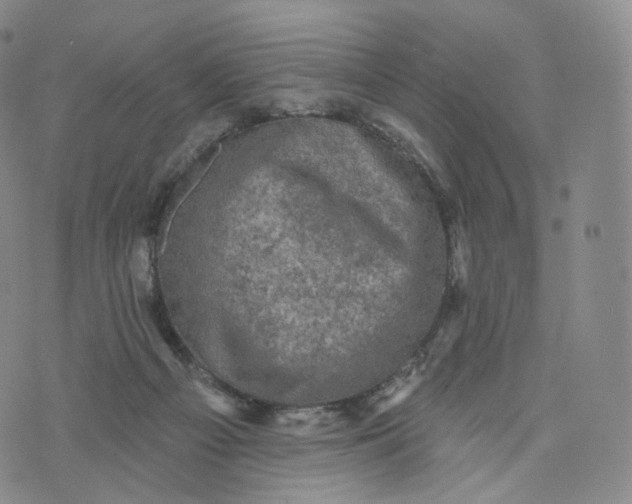 X0000076320121200610161653