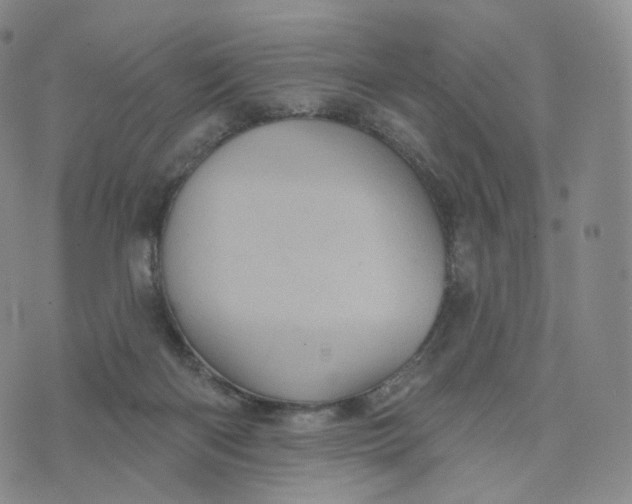 X0000076320122200610161653