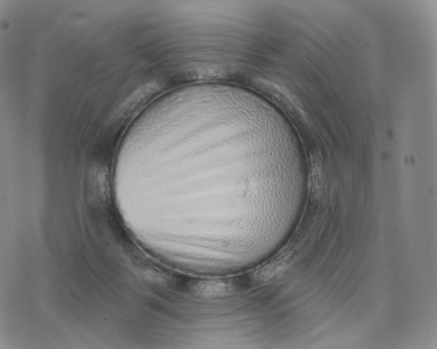 X0000076320123200610161653