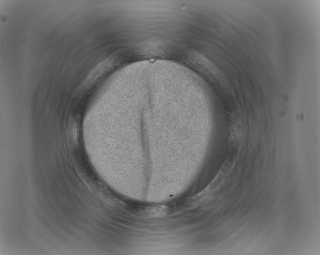 X0000076320124200610161653