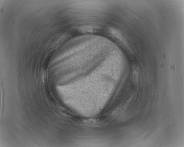 X0000076320125200610161653