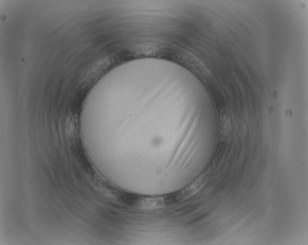 X0000076320126200610161653