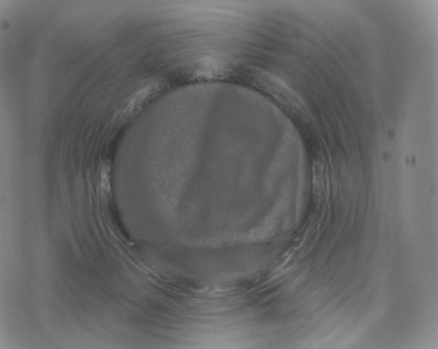 X0000076320127200610161653