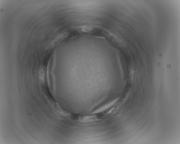 X0000076320129200610161653