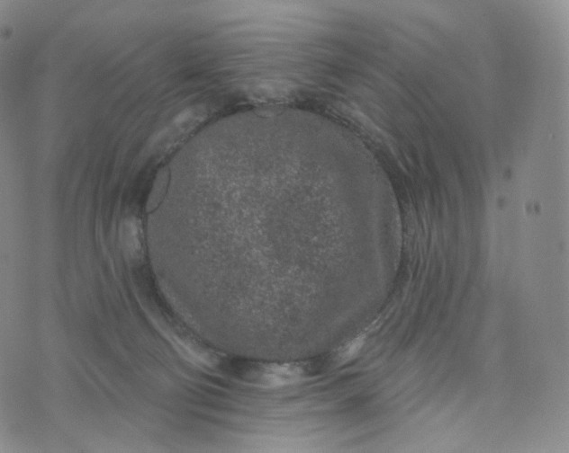 X0000076320130200610161653