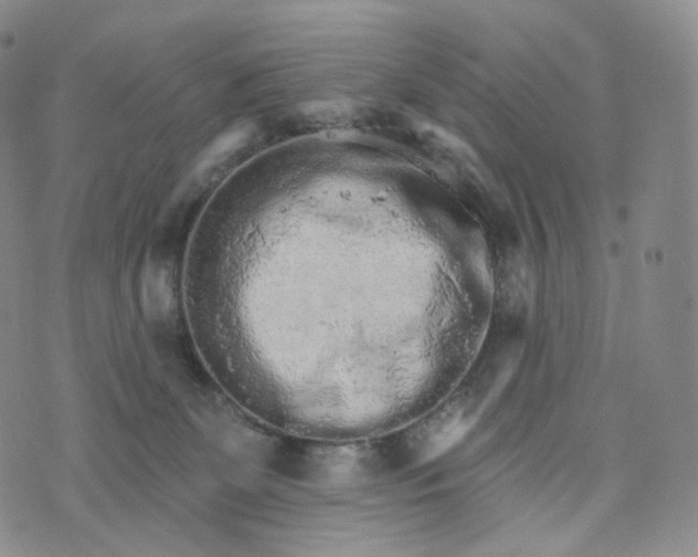 X0000076320131200610161653