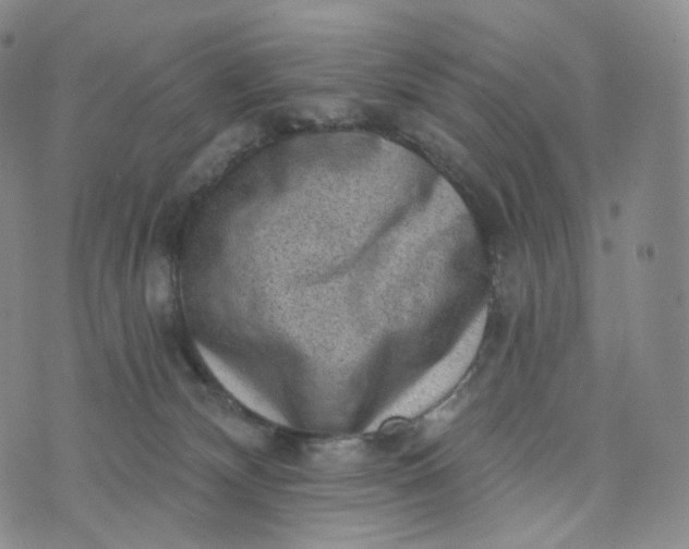 X0000076320132200610161653