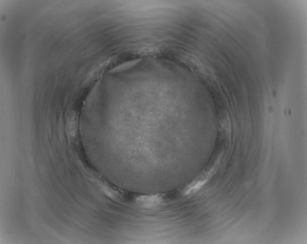 X0000076320133200610161653