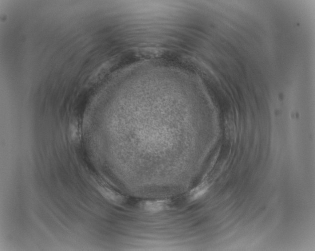 X0000076320134200610161653