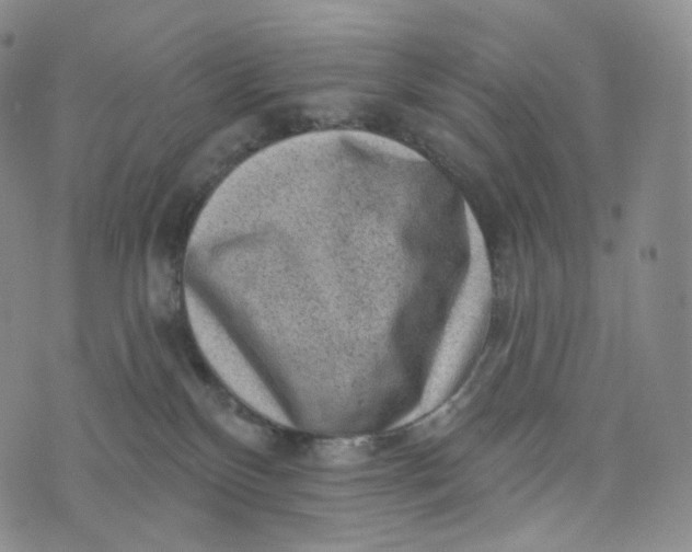 X0000076320136200610161653