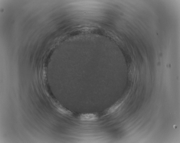 X0000076320137200610161653