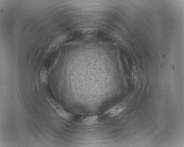 X0000076320138200610161653