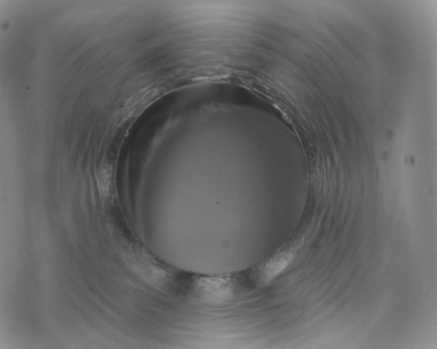 X0000076320139200610161653