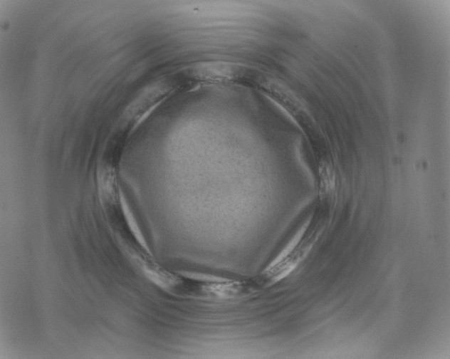 X0000076320141200610161653