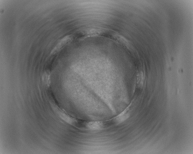 X0000076320142200610161653