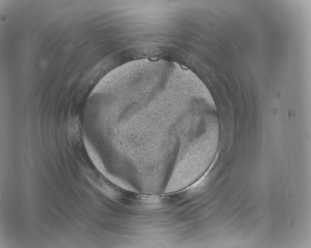 X0000076320144200610161653