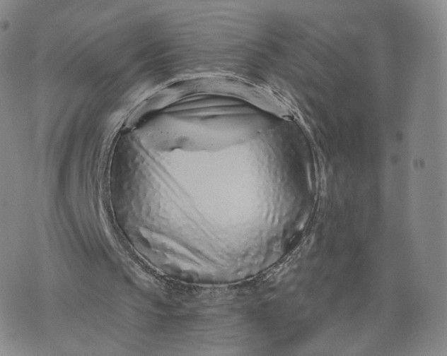 X0000076320145200610161652