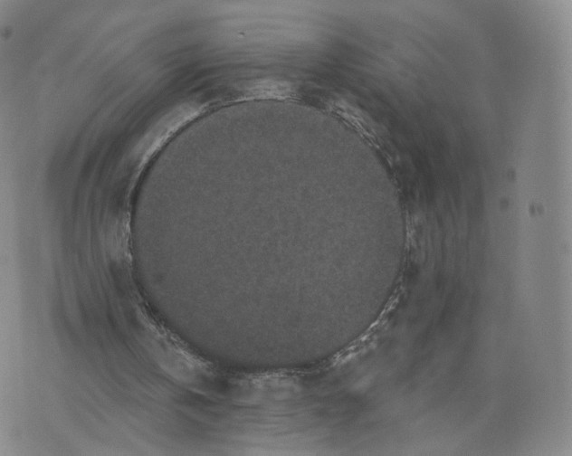 X0000076320146200610161652