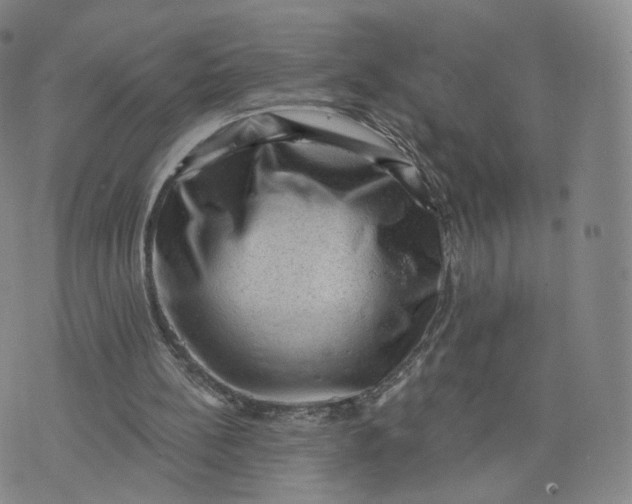 X0000076320148200610161652