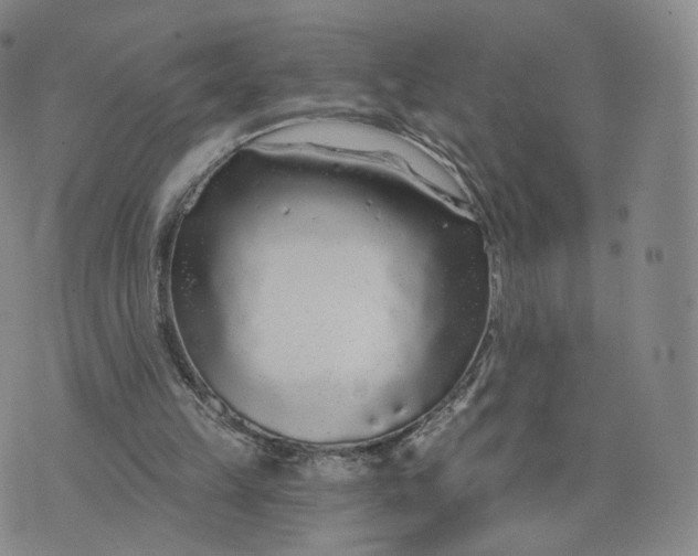 X0000076320149200610161652