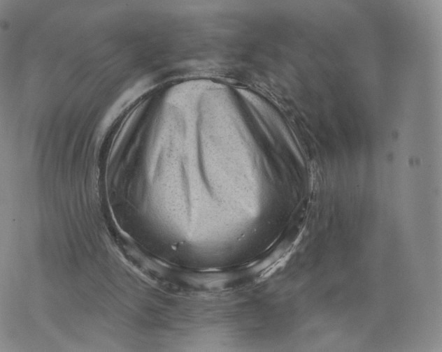 X0000076320150200610161652