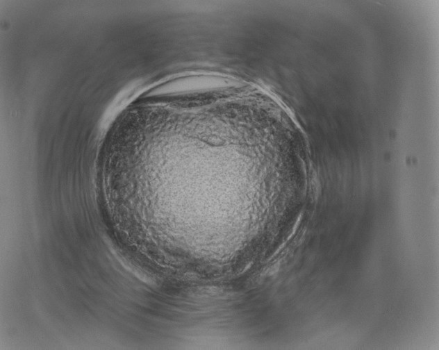 X0000076320151200610161652