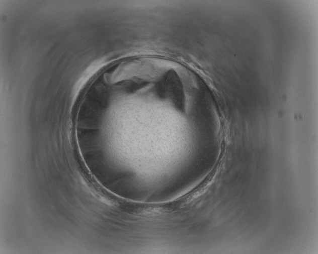 X0000076320152200610161652