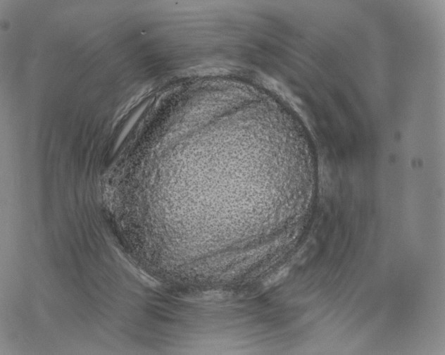 X0000076320153200610161652