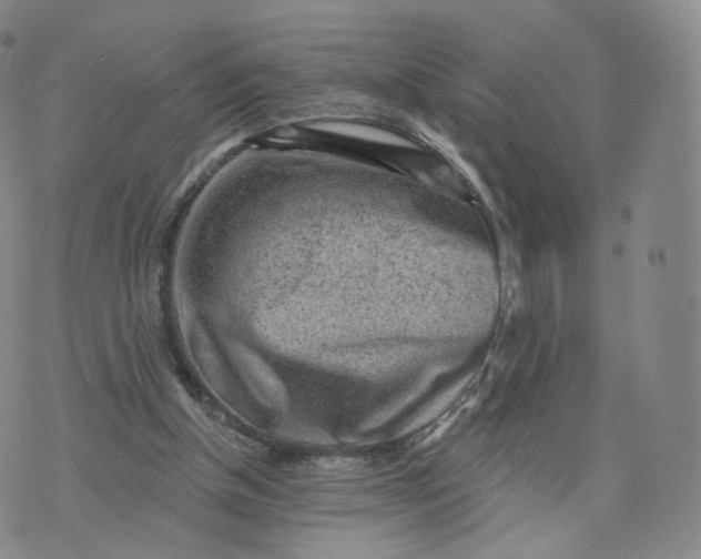 X0000076320154200610161652