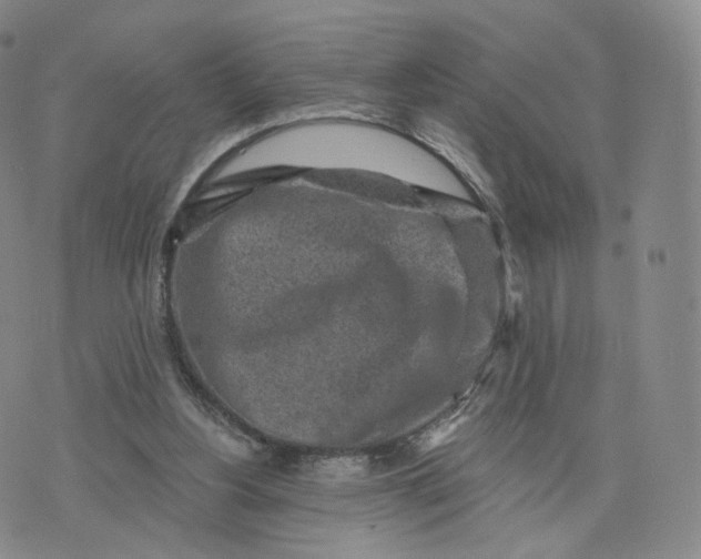 X0000076320156200610161652