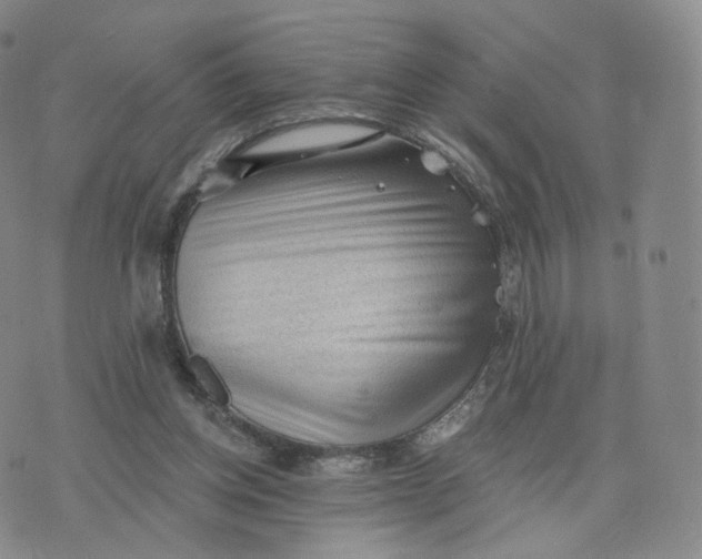 X0000076320158200610161652