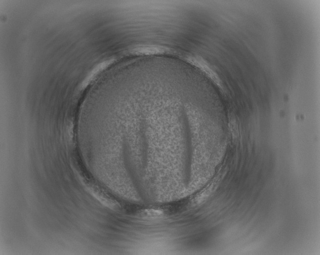 X0000076320159200610161652