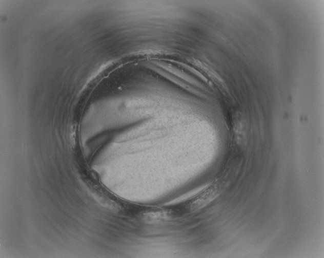 X0000076320160200610161652