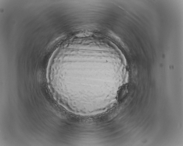 X0000076320161200610161652