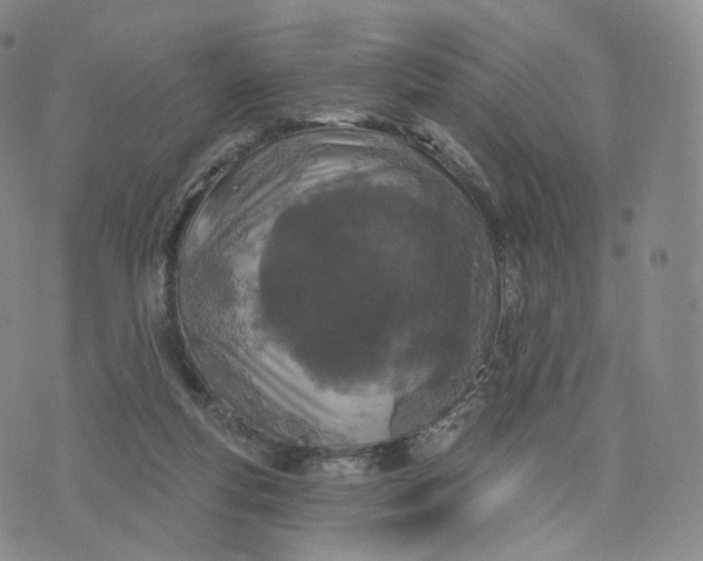 X0000076320163200610161652