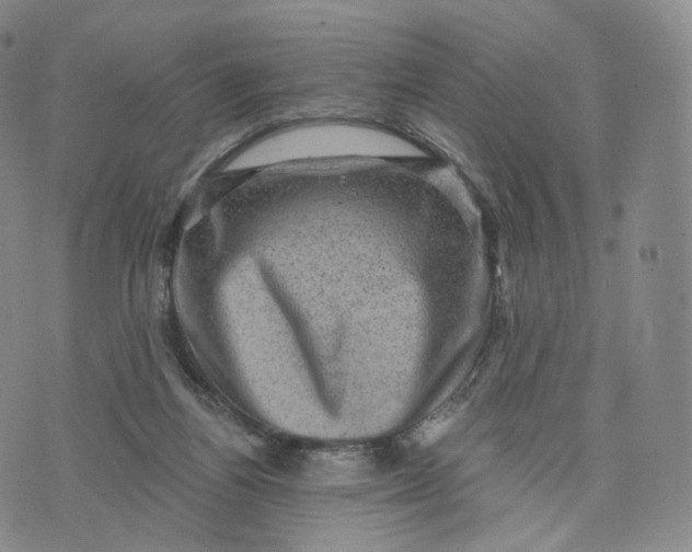 X0000076320164200610161652