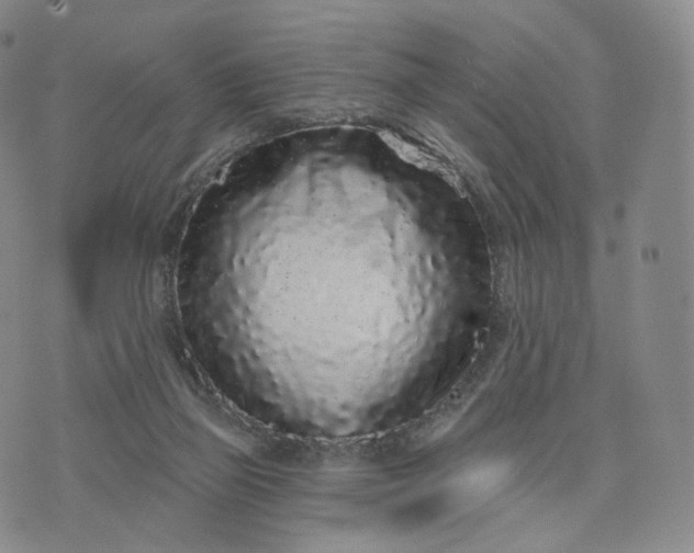 X0000076320165200610161652