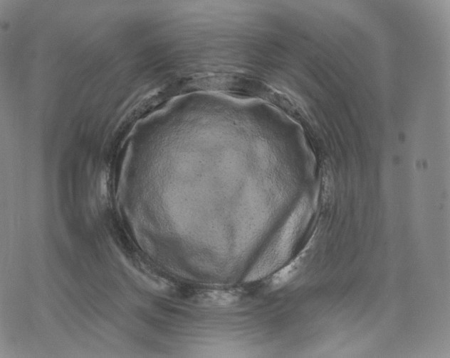 X0000076320166200610161653