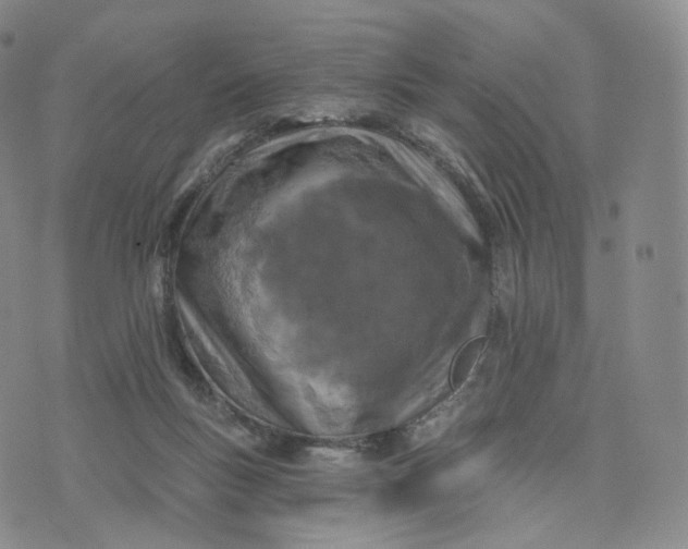 X0000076320167200610161653